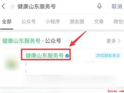 疫苗健康通行码怎么显示（演示机型:Iphone 12）