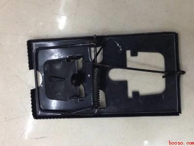 家里老鼠怎么消灭最彻底