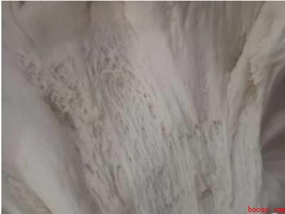 包子和面的比例做法