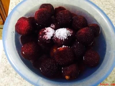 没熟的杨梅怎么处理