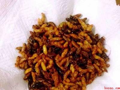 马蜂蛹怎么吃