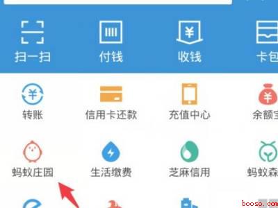 蚂蚁庄园如何关闭（演示机型:Iphone 13）
