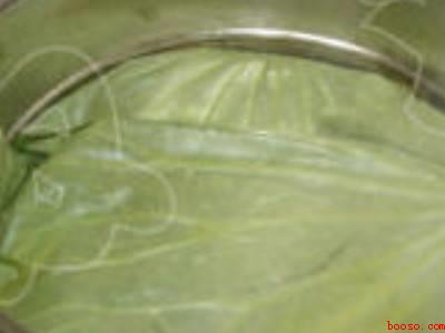 整张荷叶怎么保存