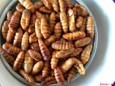 冻蚕蛹怎么吃