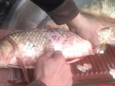 鱼下锅前怎么处理