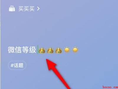 微信怎么设置等级（演示机型:Iphone 12）