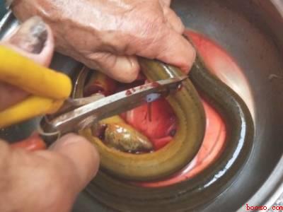 鳝鱼在家怎么杀