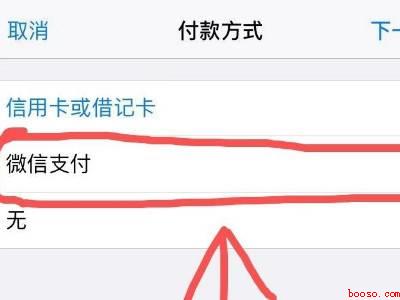 苹果手机怎么改成微信支付