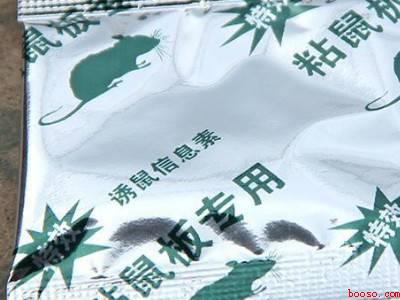 家里老鼠怎么消灭最彻底