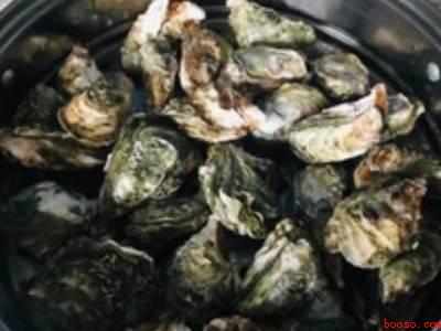 海蛎怎么吃好吃