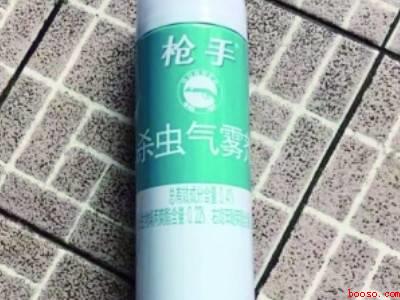 荞麦生虫爬满屋怎么消除