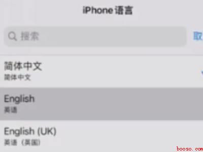 苹果手机地图怎么设置语言