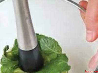 薄荷叶怎么提取汁