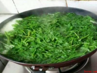 新鲜艾叶怎么晒干保存