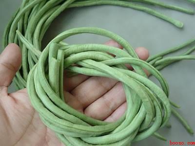 腌长豆角怎么腌制好吃