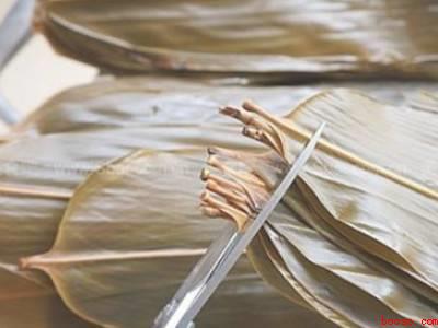 新粽叶怎么处理才能包粽子