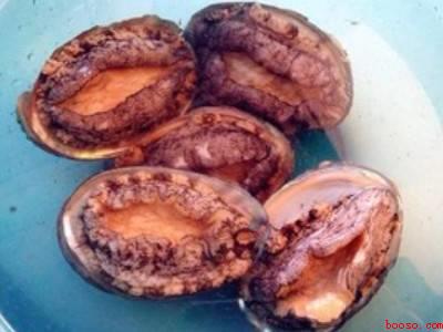 活鲍鱼怎么做好吃又简单方便