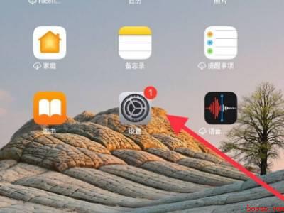 ipad怎么设置右滑返回