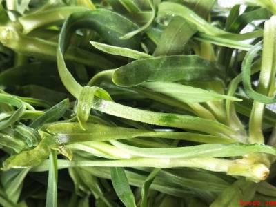 炒菜时怎么防止油溅