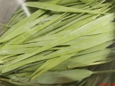 新鲜芦苇叶怎么处理才能包粽子