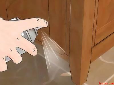 家里有臭虫怎么办能除根