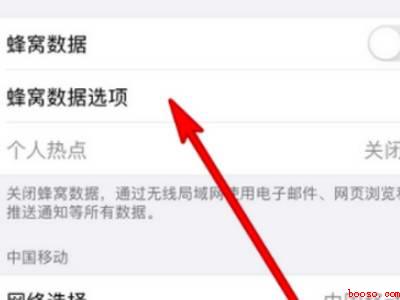 苹果12用自动5g还是启用5g