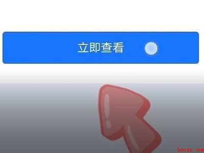 支付宝健康码打不开（演示机型:Iphone 12）