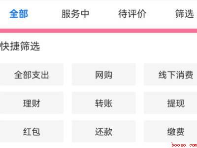 支付宝支付记录在哪里查看（演示机型:Iphone 13）