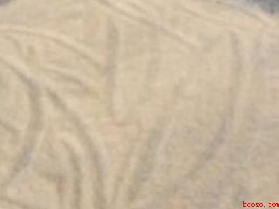 米袋里长了很多米虫怎么办