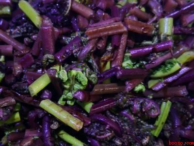 野蕨菜怎么做好吃