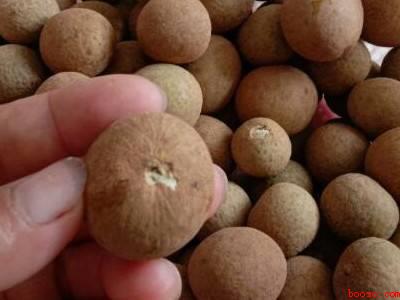 怎样晒龙眼干带壳的（怎样晒带壳的龙眼干共分为5个步骤）