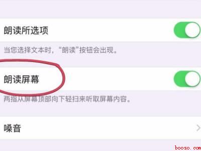 苹果朗读功能怎么开启
