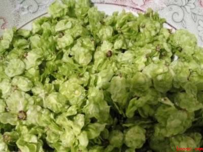 冷冻起来的榆钱怎么吃