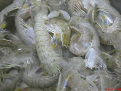 皮皮虾怎样做好吃又简单