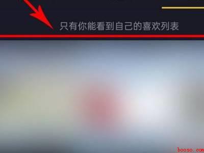 抖音喜欢列表怎么翻到最早的（演示机型:Iphone 13）