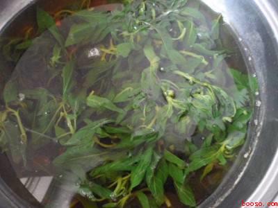 薄荷叶凉拌怎么做