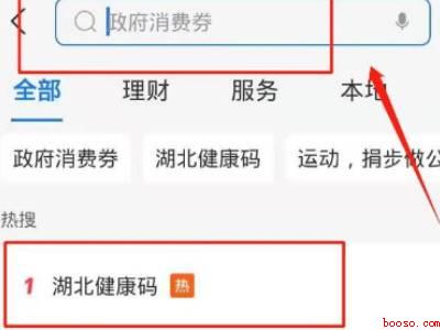 如何查询打疫苗记录（演示机型:Iphone 12）
