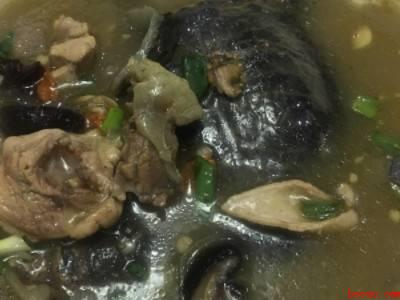 甲鱼怎么做好吃炖汤