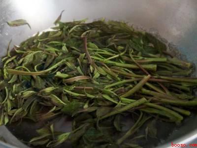 香椿芽怎样腌制好吃