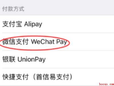 苹果如何用微信支付腾讯VIP(演示机型:Iphone 12)