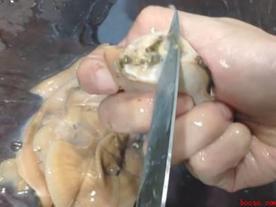 大河蚌怎么清洗干净内脏