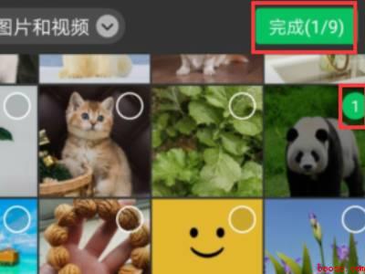 朋友圈怎么艾特好友（演示机型:Iphone 12）