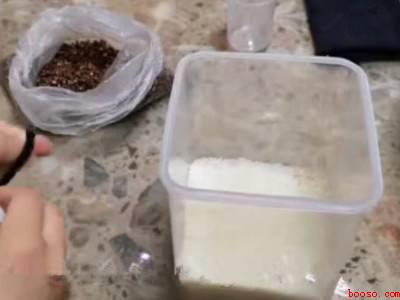 米长虫了怎么快速处理