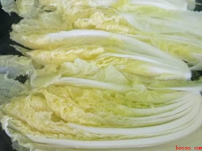 蒜蓉娃娃菜怎么做