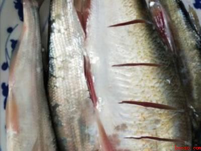 小翘嘴鱼怎么做好吃