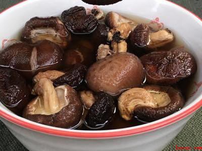 怎么保存野生菌放一年都不坏