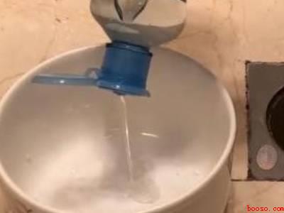 苍蝇幼虫怎么杀死