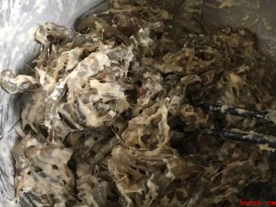 河虾怎么做好吃又简单