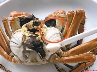 螃蟹怎么剥开吃