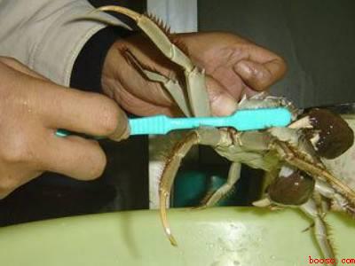 螃蟹要怎么清洗